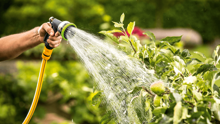 Bosch GardenPump 18 Pomaže kod negovanja voća